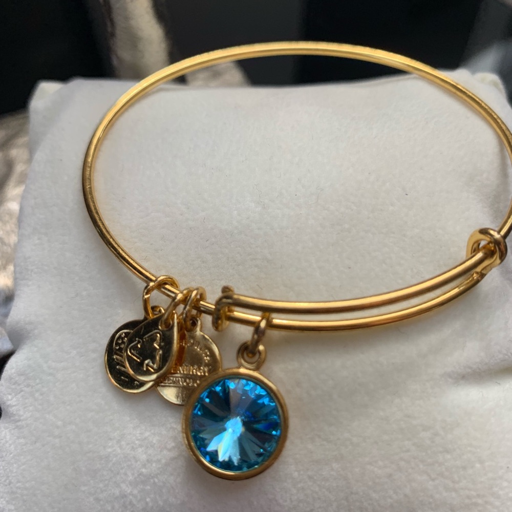 Alex & Ani Gold Bangle Bundle - Picture 4 of 8